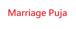 Pandit for Marriage